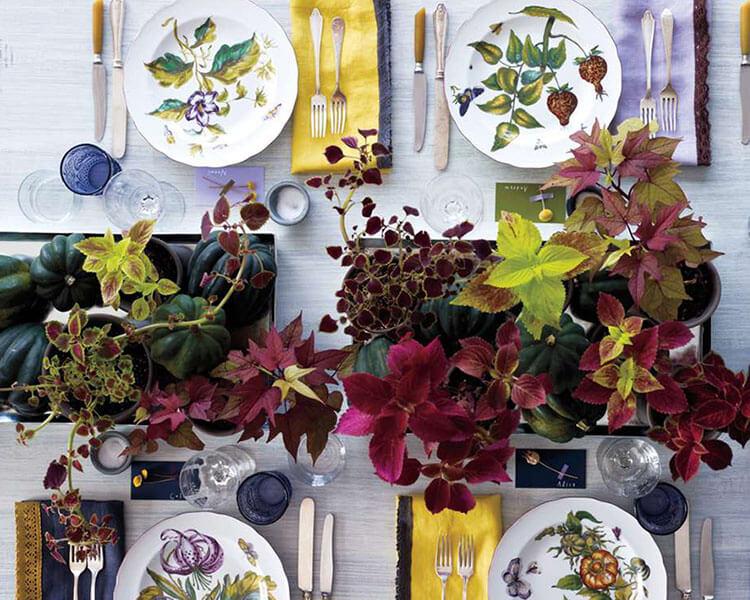 squashes and potted coleus and potato vine in metal trays thanksgiving tablescape