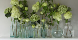 pale green and green hydrangeas and viburnum in bud vases on a white mantel