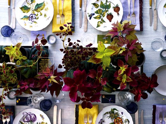 potted plant and squashes thanksgiving tablescape