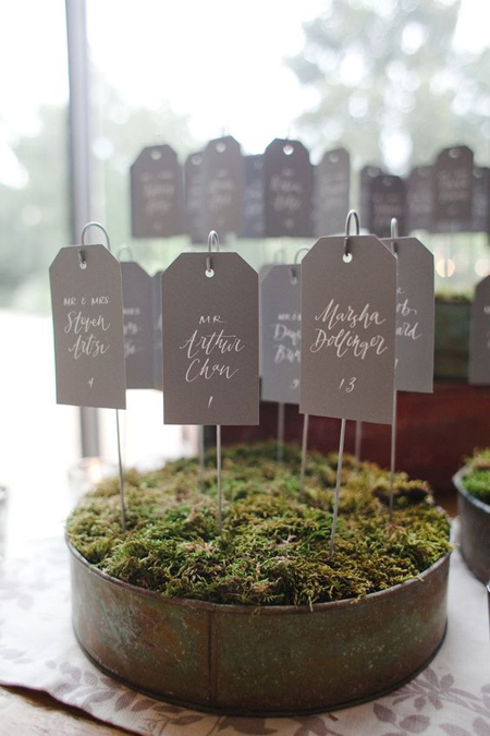 Escort cards in beds of moss.