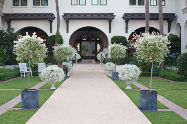 Urns with baby's breath line a wedding path