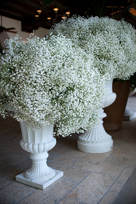 Urns with baby's breath