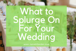 What to Splurge on for Wedding