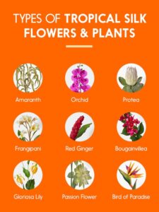 Types of Tropical Silk Flowers and Plants