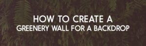 How to Create a Greenery Wall for Backdrop