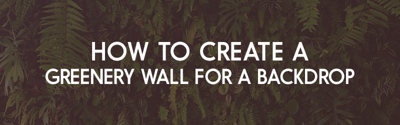 How to Create a Greenery Wall for Backdrop