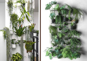 indoor plant wall jungle