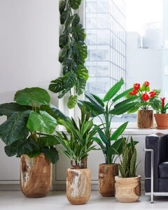 artificial plants fake palms philodendron plants anthuriums in wood pots in loft