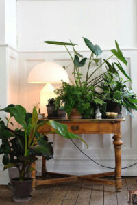 old desk with modern lamp and plants