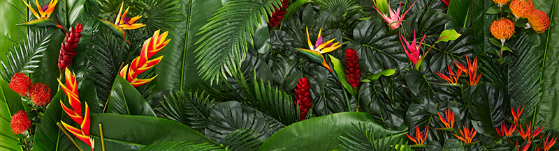 silk wedding flowers guide tropical flower wedding ceremony backdrop with birds of paradise proteas and ginger