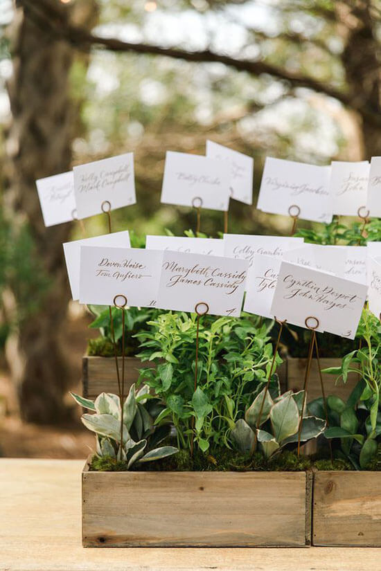 escort cards on mini plant stakes in rustic wood boxes with potted herbs 