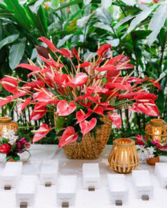 tropical escort card table display with anthuriums and wood lanterns
