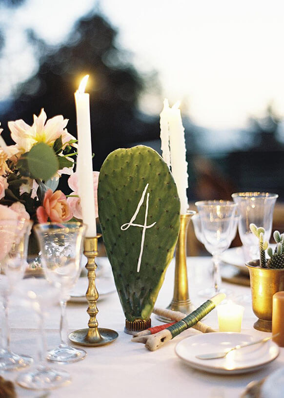 boho wedding table number with cactus
