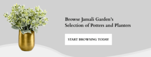 Browse Jamali Garden's Selection of Potters and Planters