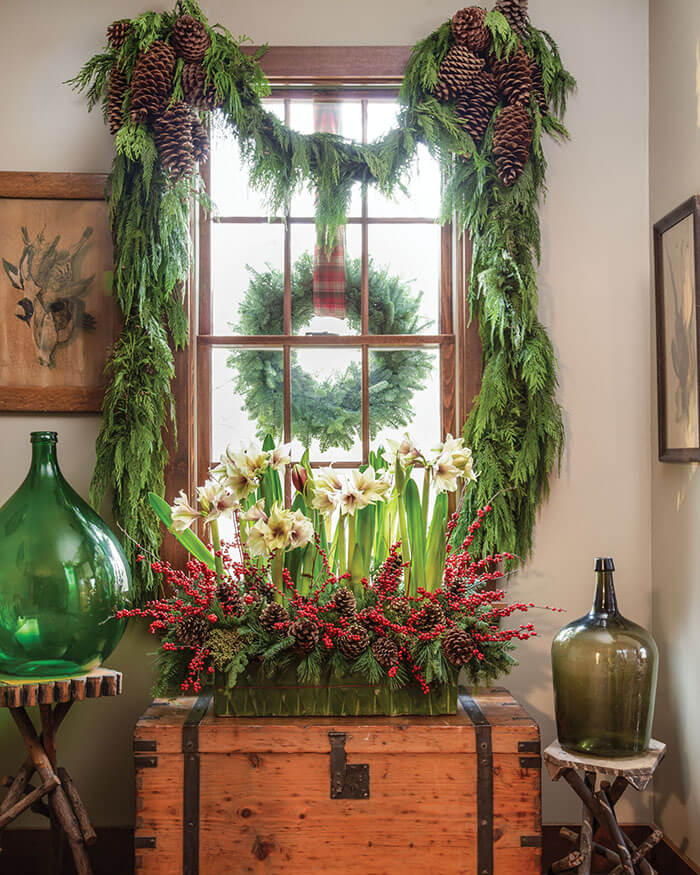 a classic christmas window decorated with garlands and giant pine cones with an arrangement of amaryllis, ilex berries, and evergreens in front