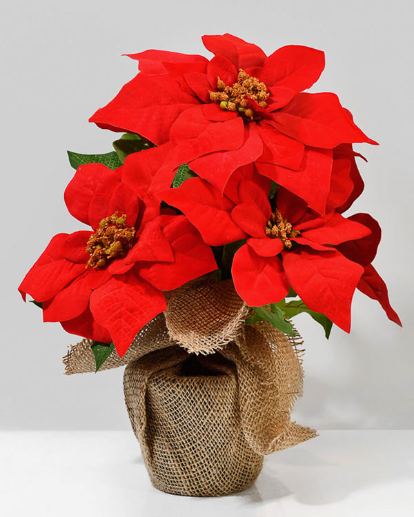 fake artificial faux red poinsettia plant wrapped in burlap, a classic christmas decor idea