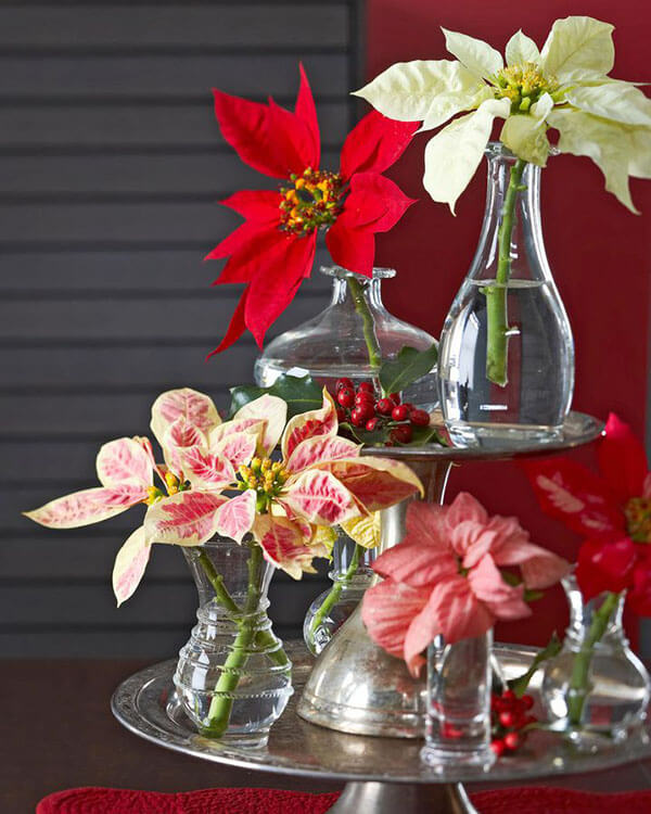 mix poinsettia varieties as cut flowers in glass bud vases displayed on tiered cake plates